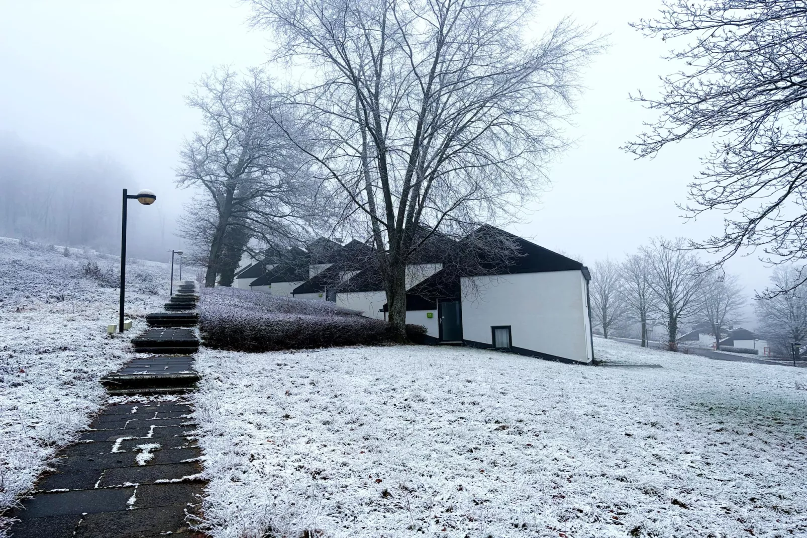 Comfort Eingang 6P - Basic - Garten Winter