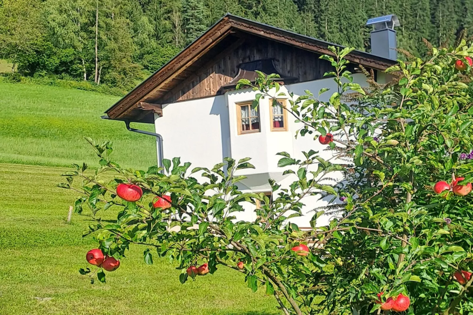 Chalet Anna-Garten Sommer