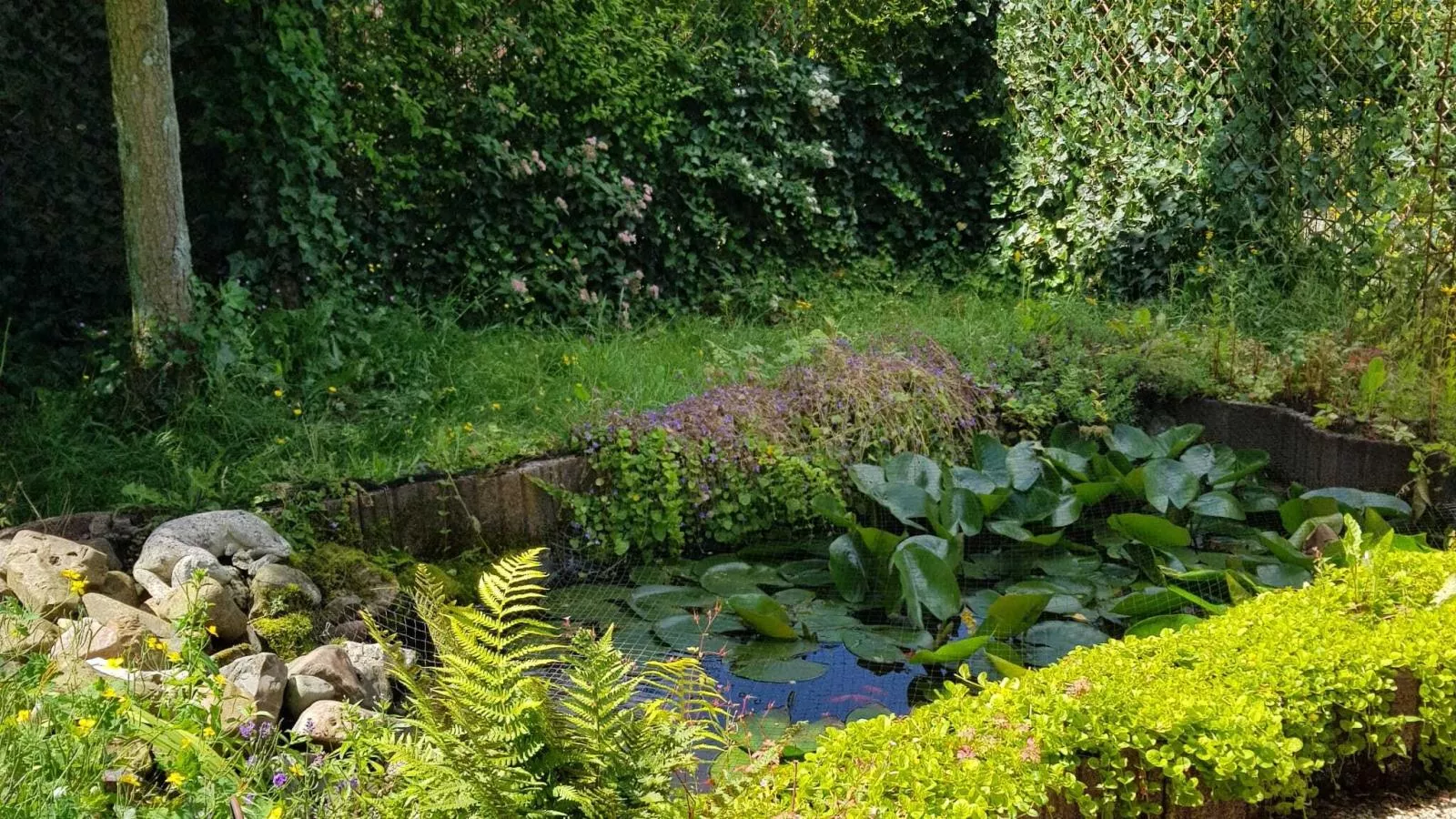 Bungalow Sonnerust - Jardins en été