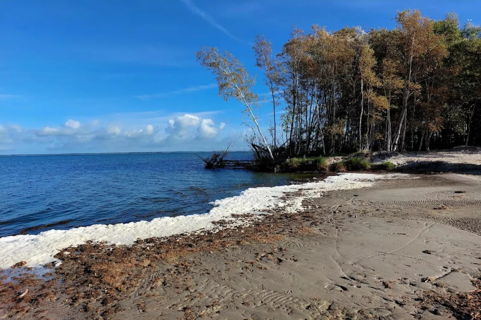 Schilfrohrsänger 26-Image-tags.water view