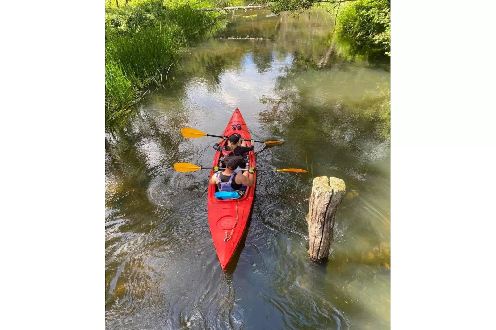 Dom przy drodze Skansen dla 10 osób Bełczna