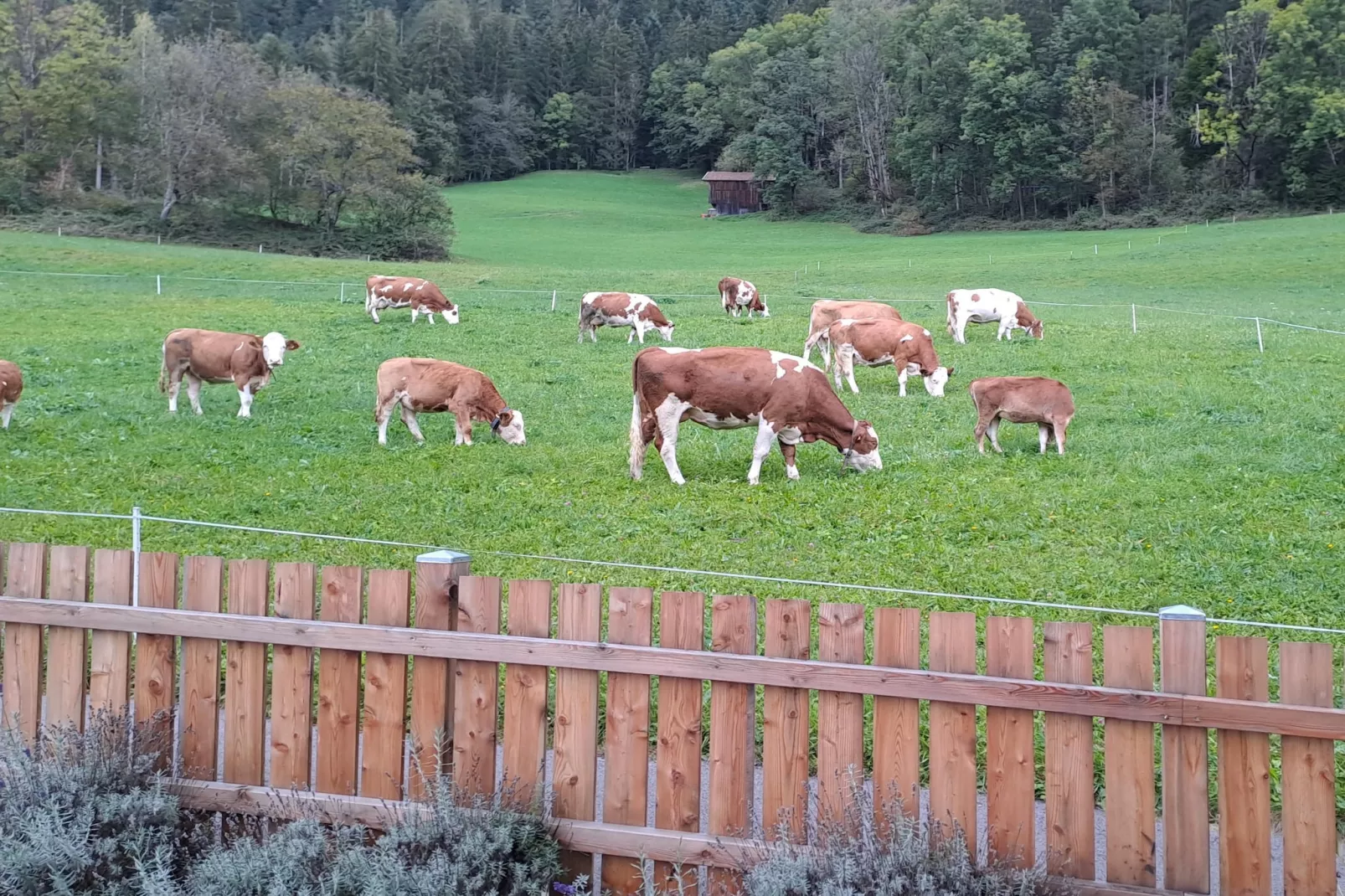 Chalet Anna-Aussicht Sommer