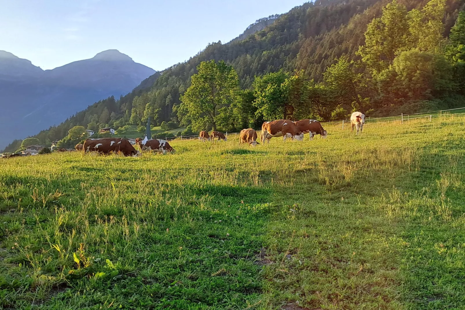 Chalet Anna-Gebiete Sommer 1 km