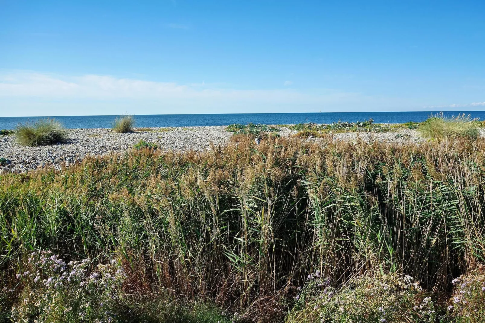 Inselresort Marco Polo-Zones été à 1 km