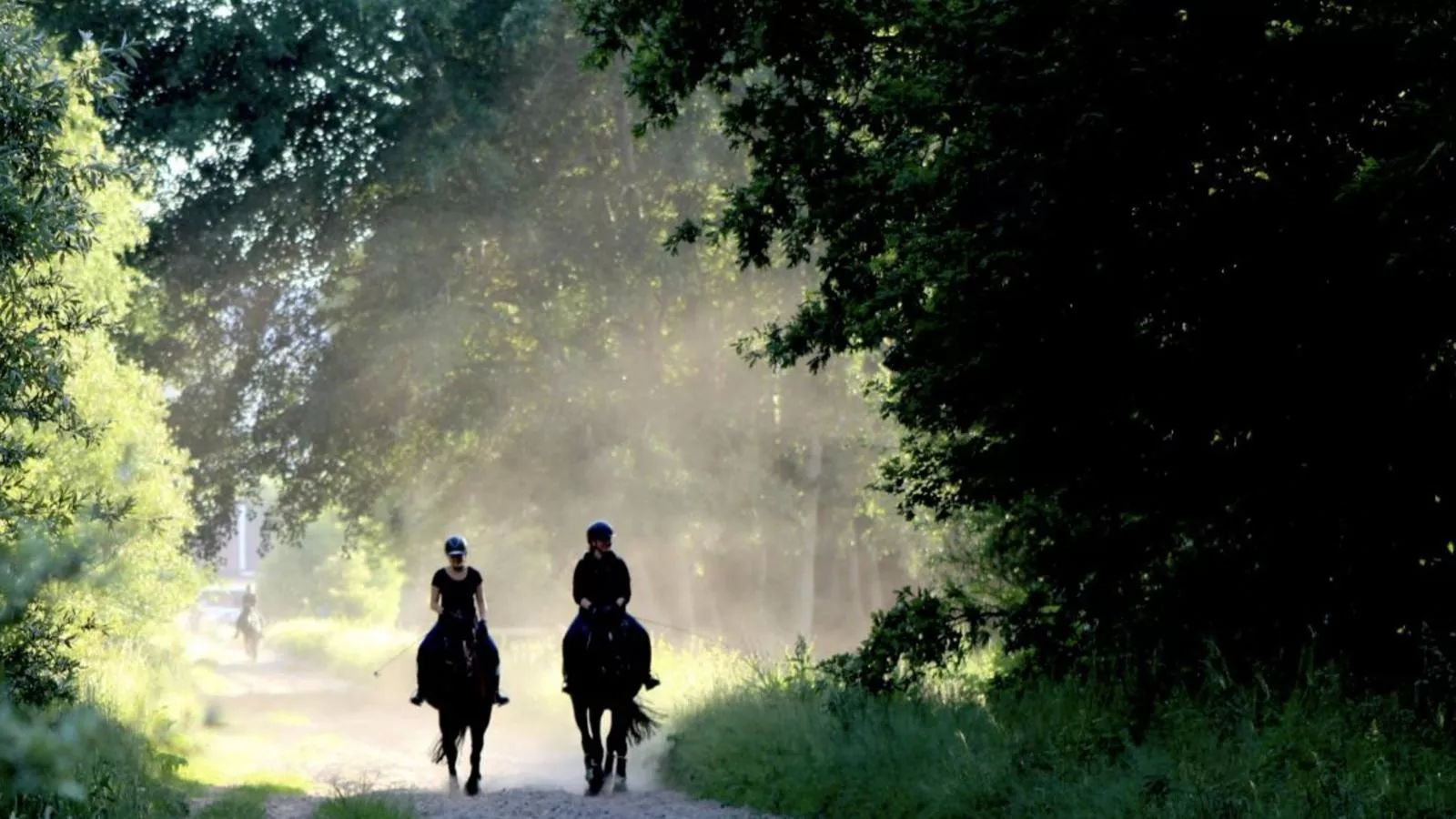 Bungalow Sonnerust - Zones été à 1 km