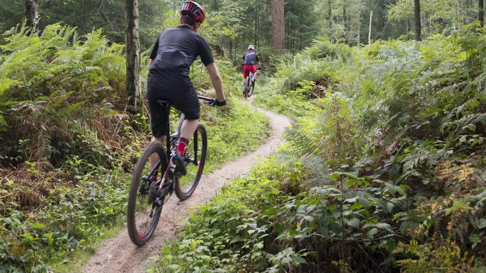 Bungalow Sonnerust - Zones été à 1 km