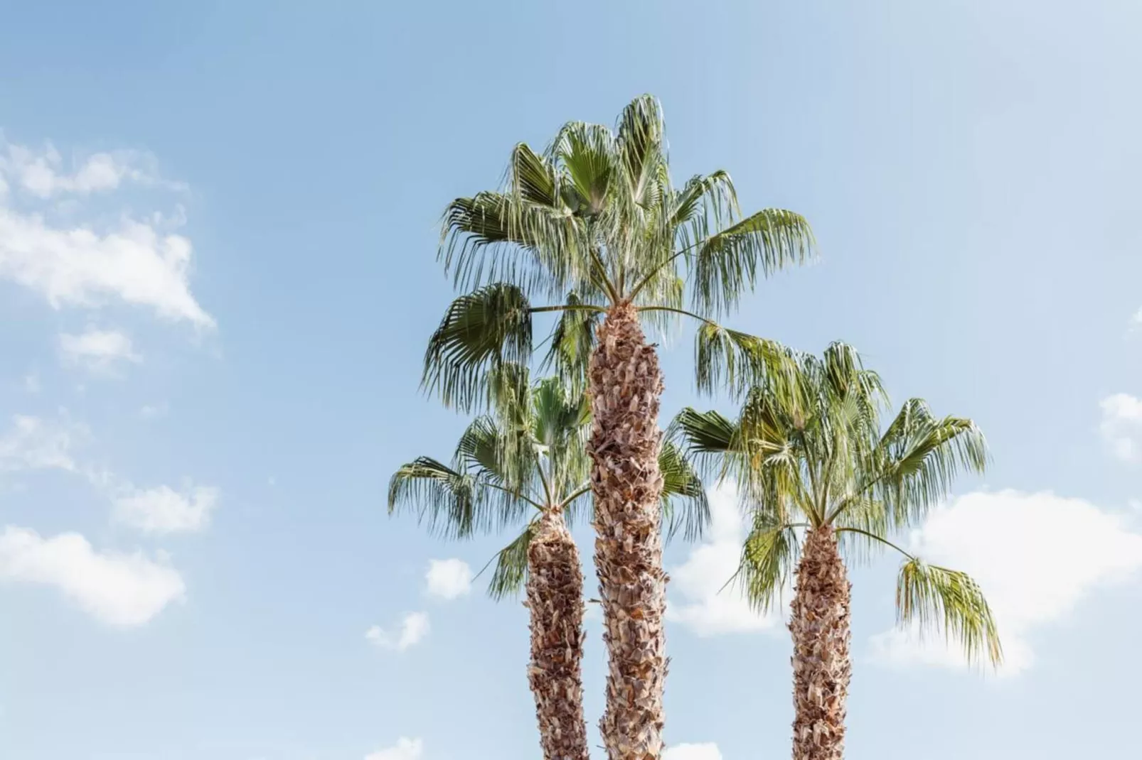 Apartamentos Puerto Salado - 1 Dormitorio 3 PAX-Aussicht