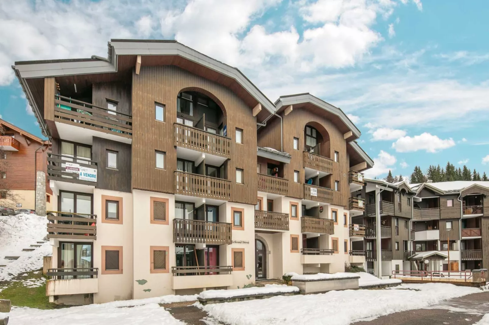 Grand Tetras N°111 - 2P6