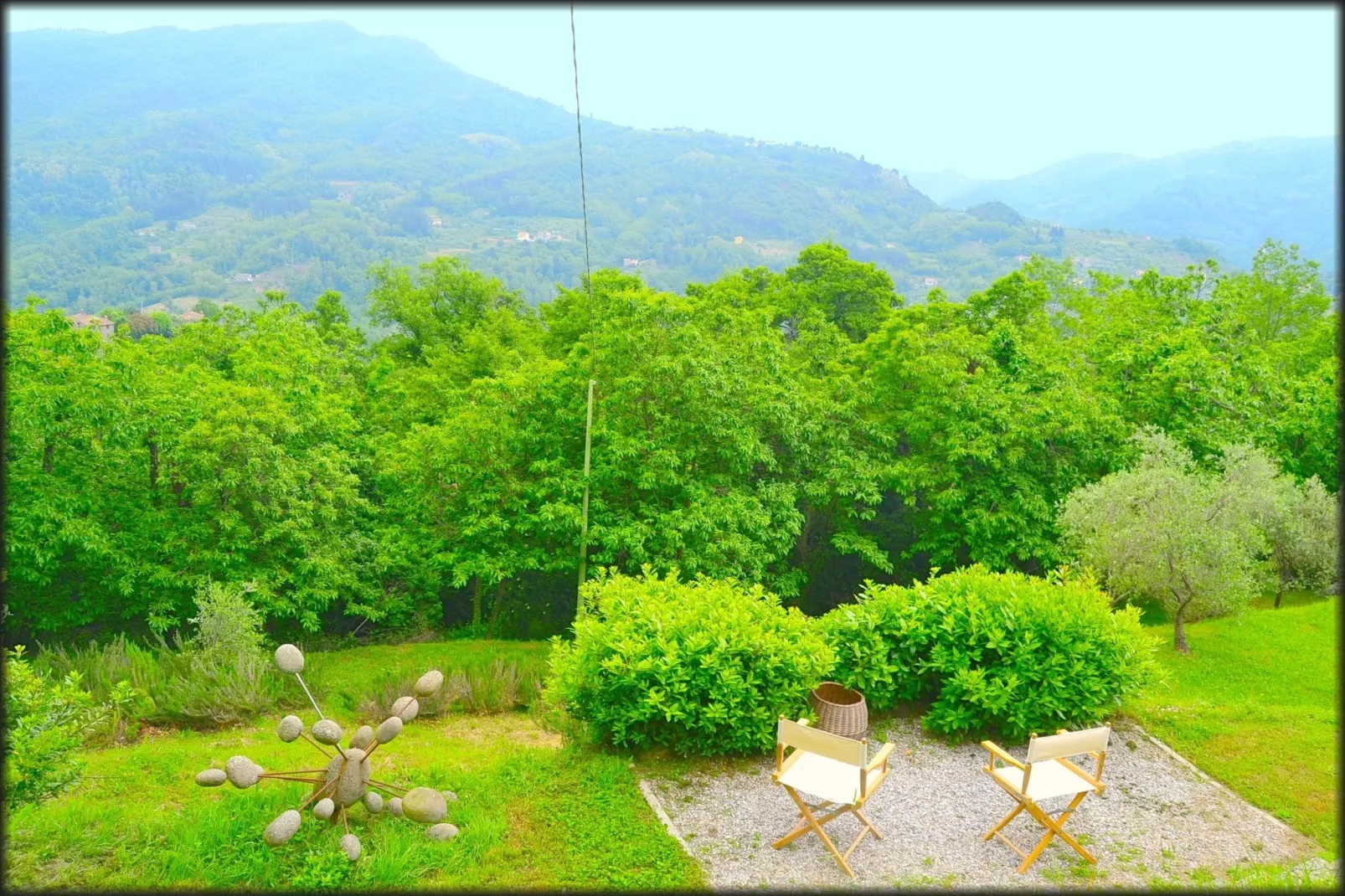 Olivi - Tutto-Gardens summer