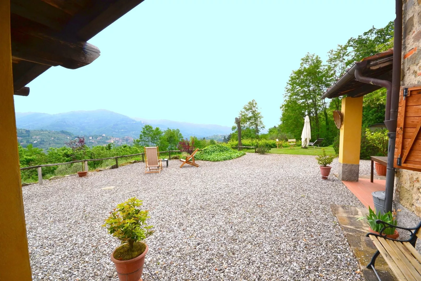 Olivi - Tutto-Gardens summer
