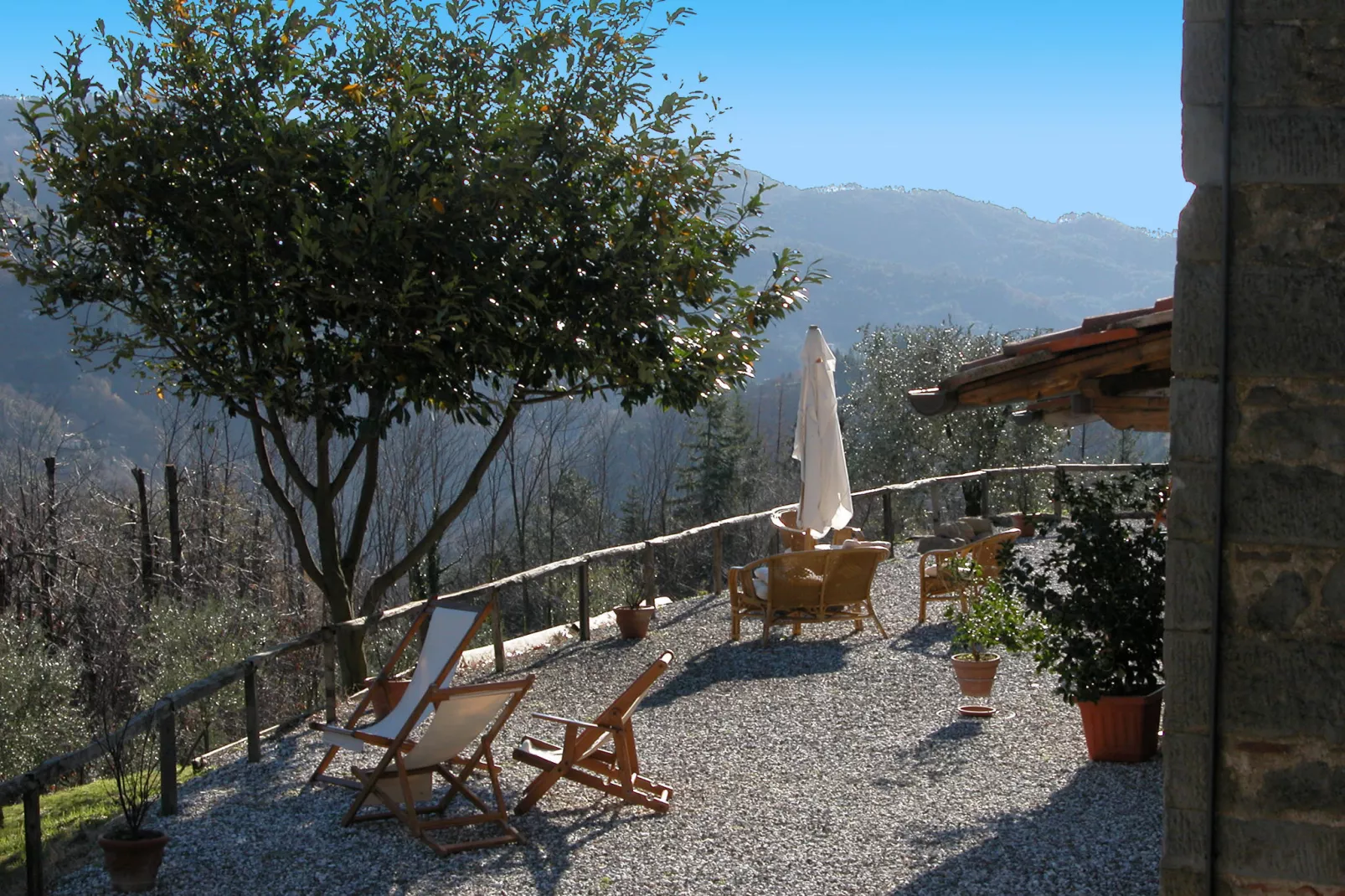 Olivi - Tutto-View summer