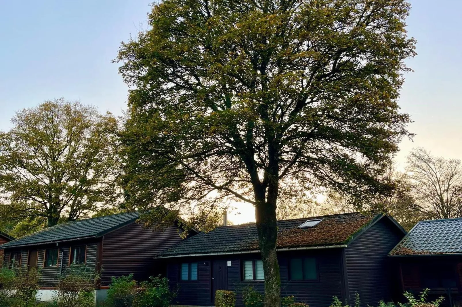 Chalet du temps suspendu-Extérieur été