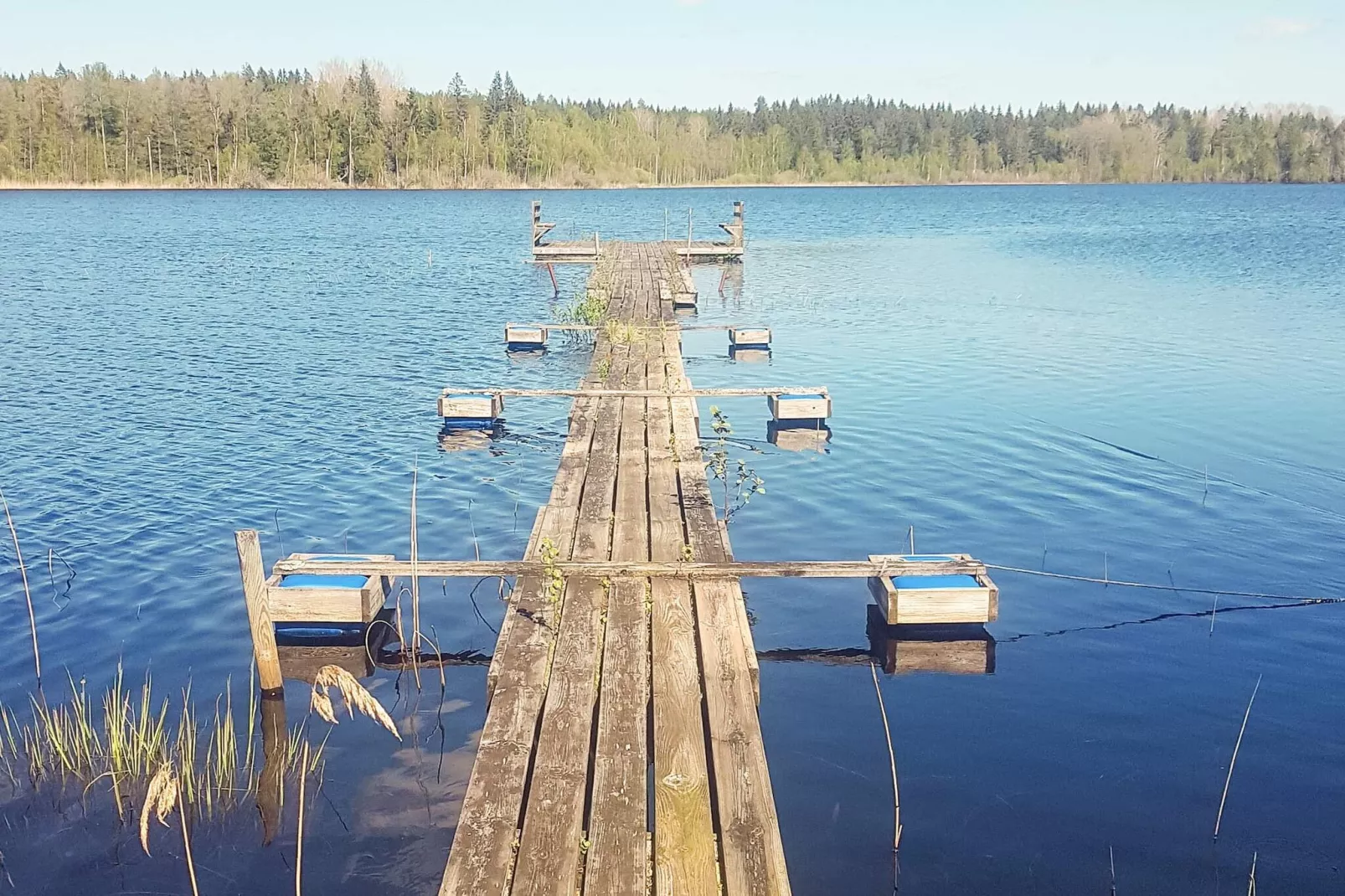 Maison de vacances pour 8 a HÖGSBY - Extérieur