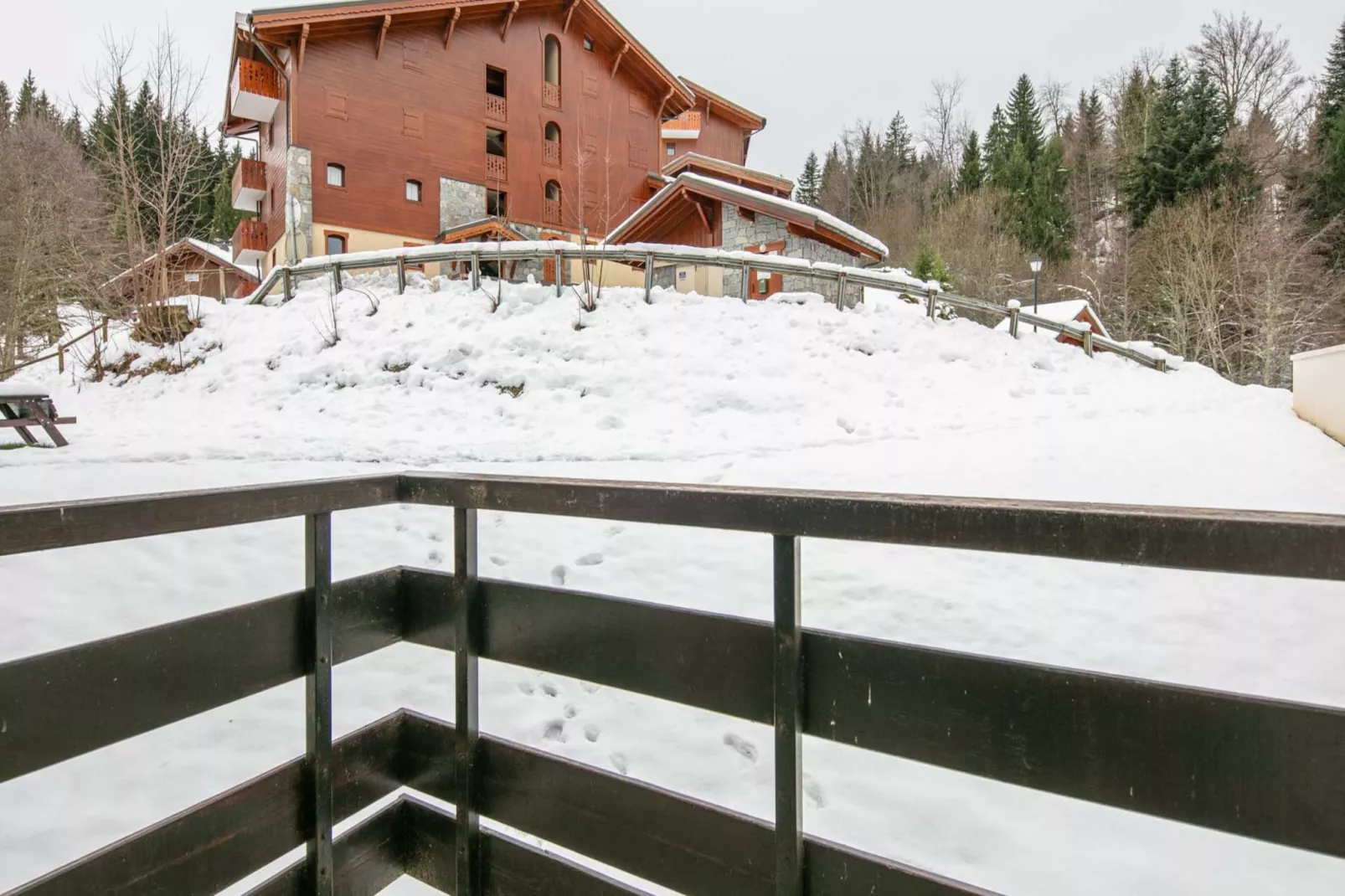 Grand Tetras N°111 - 2P6-Gebiet Winter 1 km