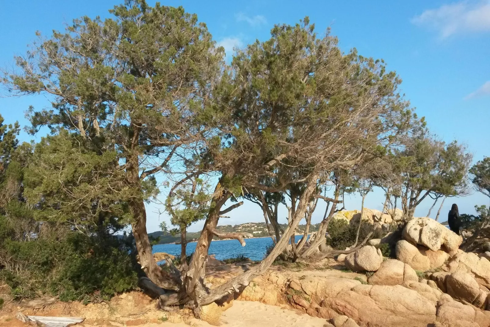 Apartments Cannigione - Type Bilocale Paradise-Zones été à 5 km