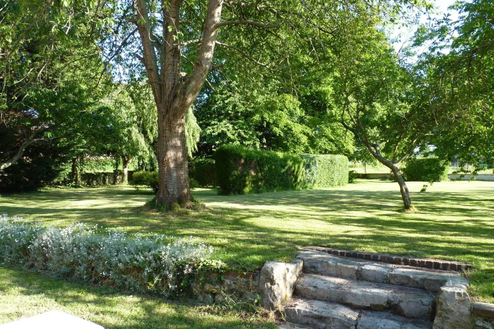 Semi-detached house Rieux - 8 pers - Gardens in summer