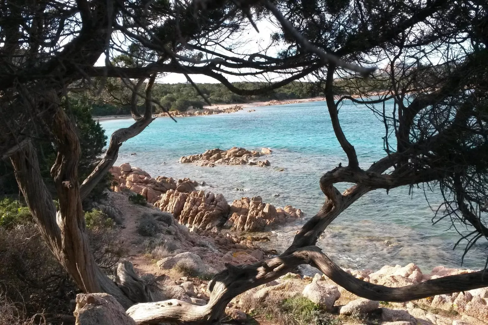 Apartments Cannigione - Type Bilocale Paradise-Image-tags.water view