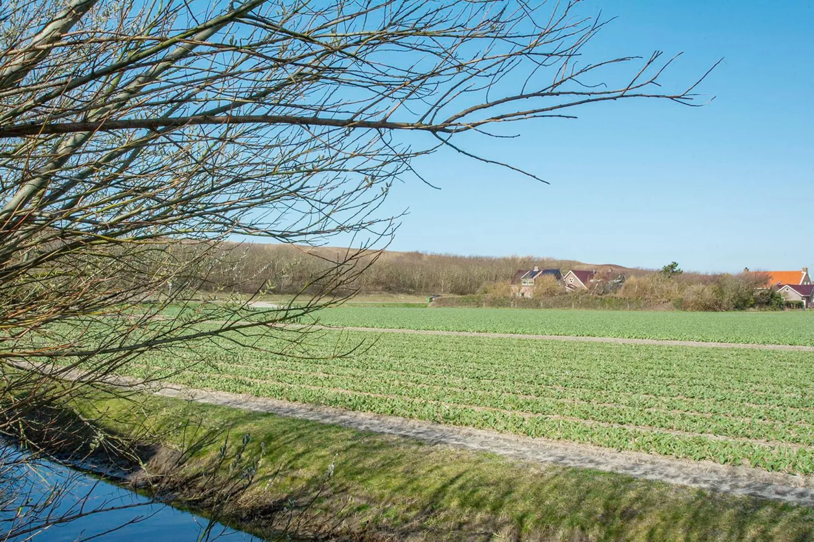 Résidence Juliana 21-Gebiete Sommer 5 km
