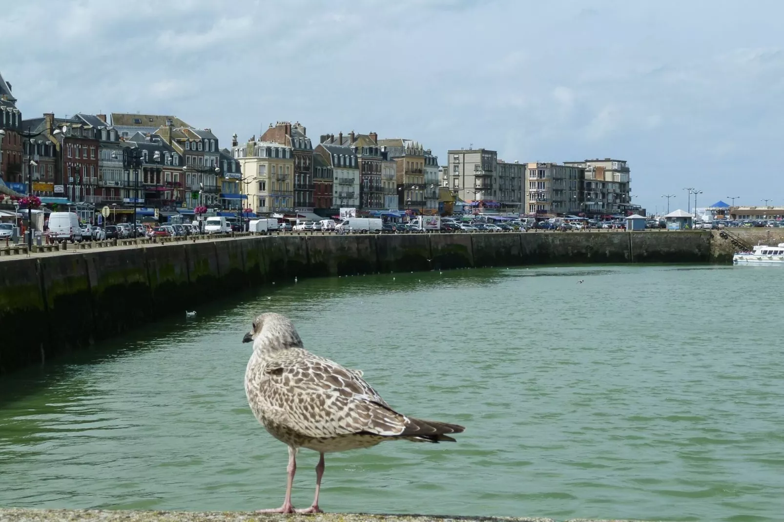 Semi-detached house Rieux - 8 pers - Areas within 5km in summer