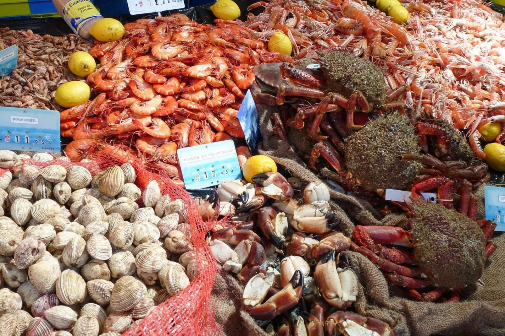 Semi-detached house Rieux - 8 pers - Areas within 5km in summer