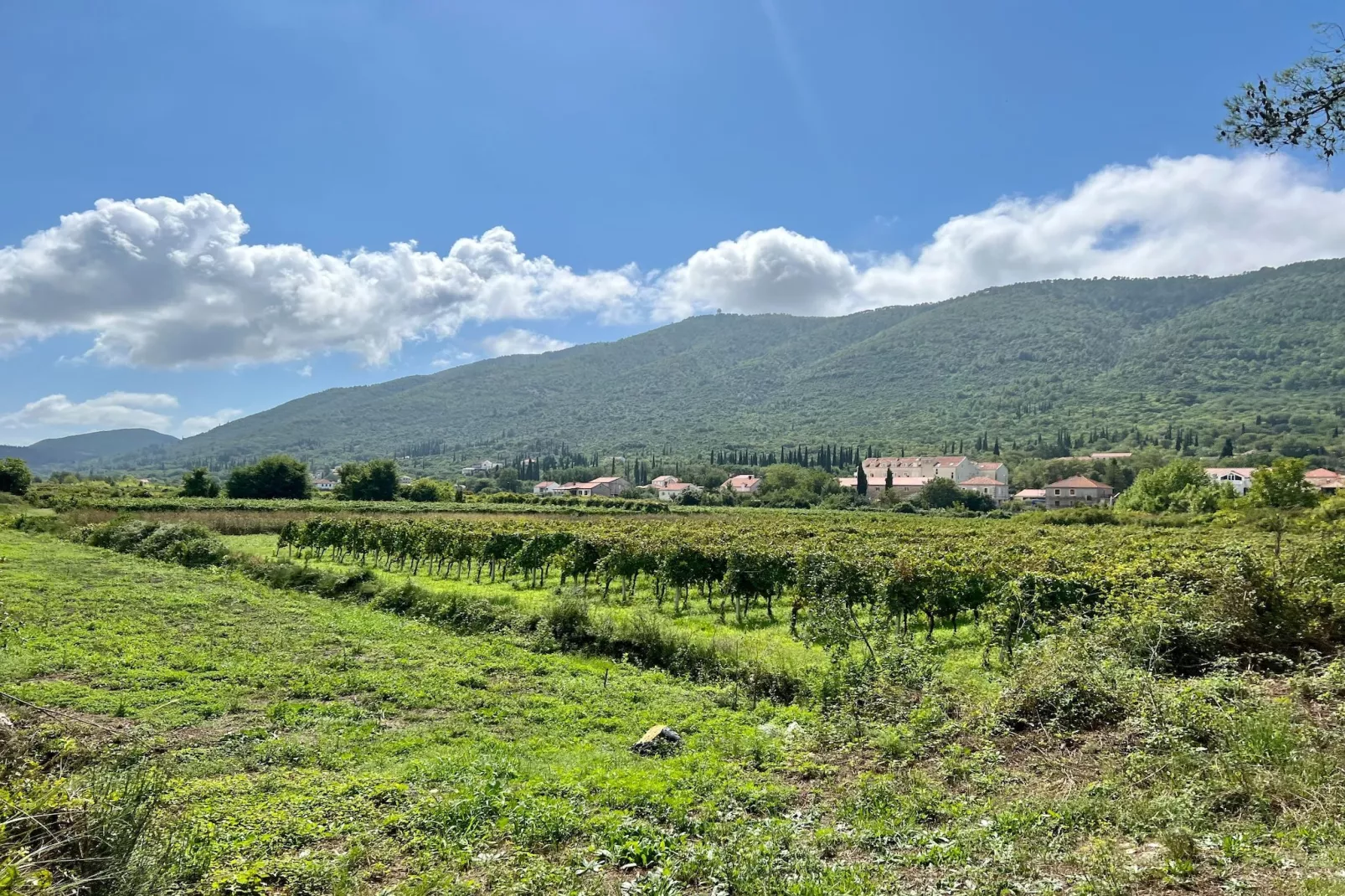 Apartment LaVilla - Two Bedroom Apartment with Balcony and Sea View (Žuti)-View