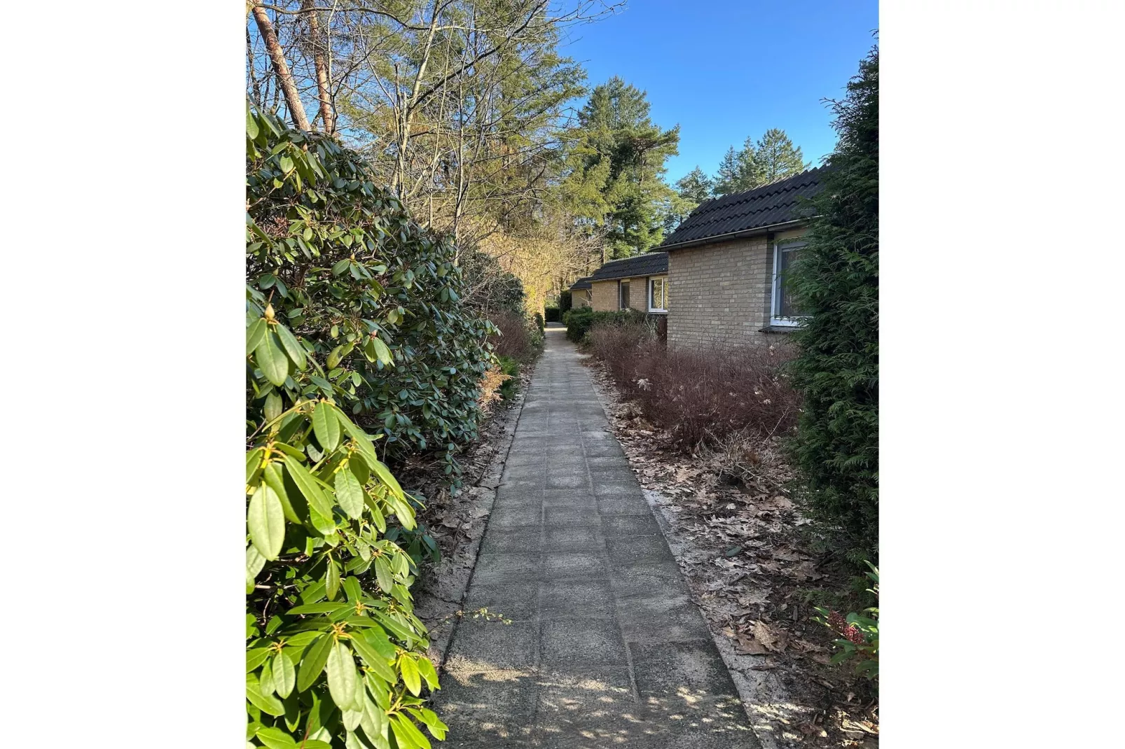 BOSRIJK-Zones été à 1 km