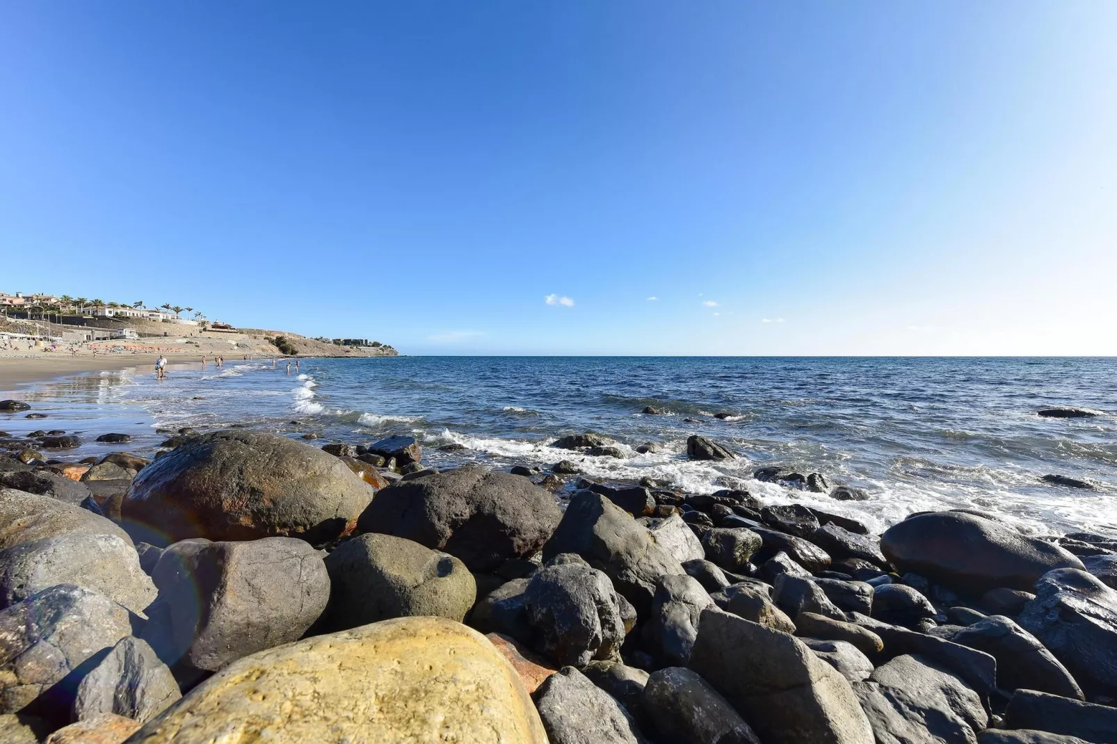 MELONERAS BAHIA 153										-Areas within 1km in summer