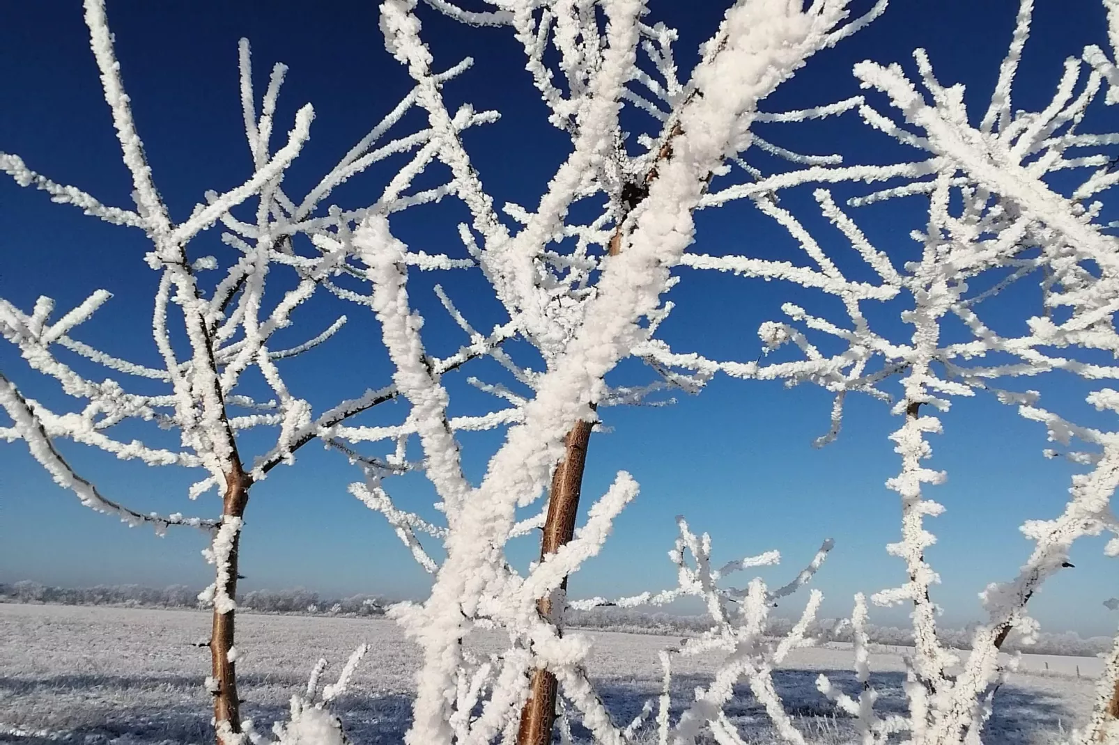 Windspiel Nr2-Zones hiver à 1 km