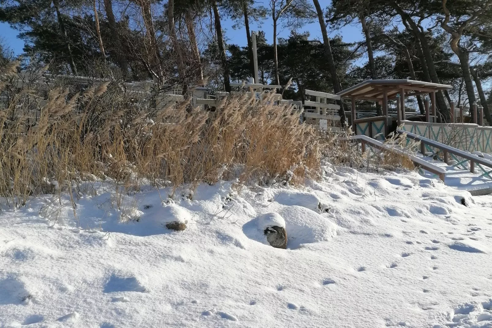 Windspiel Nr2-Zones hiver à 1 km