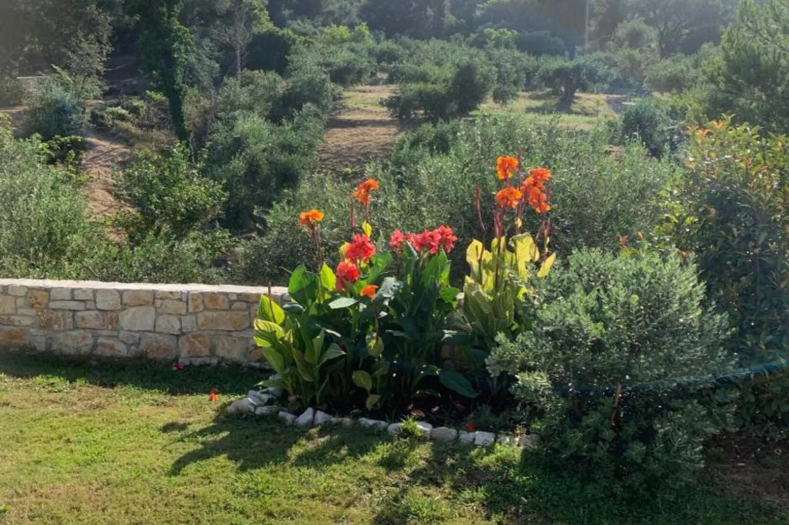 Villa Spirena-Garten Sommer
