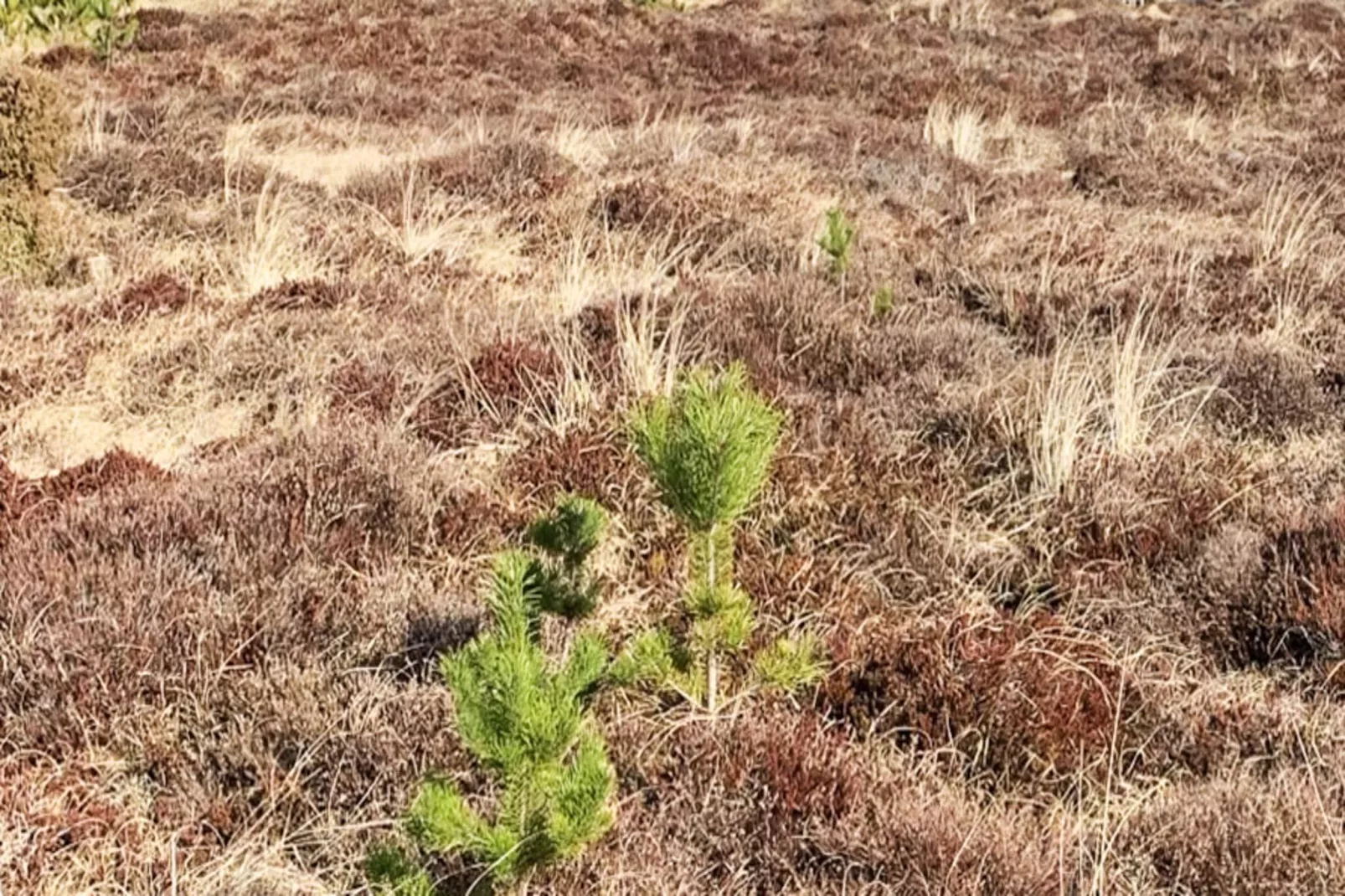 4 star holiday home in Højby