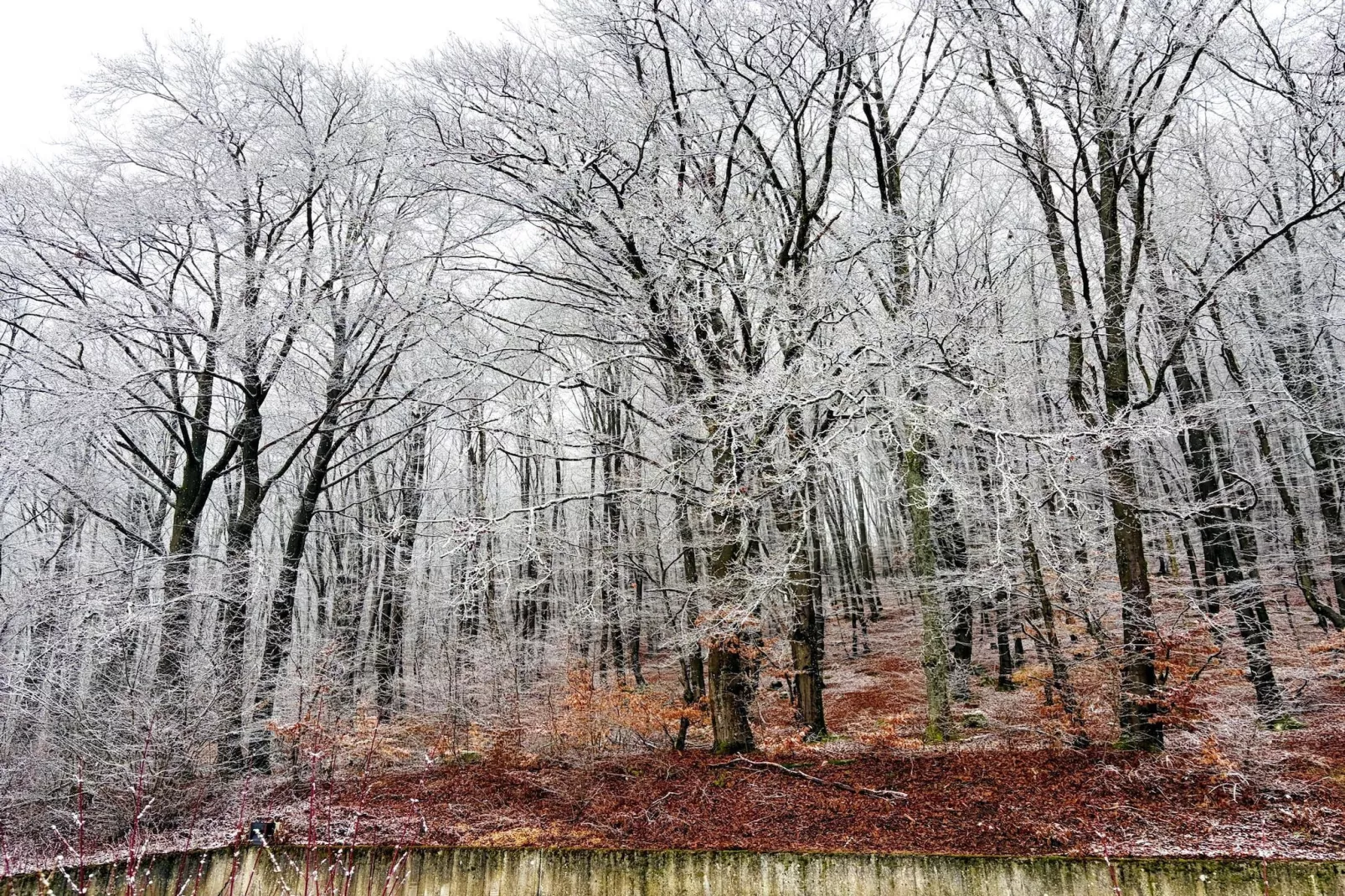 Apartment Third Floor - Gebiet Winter 5 km