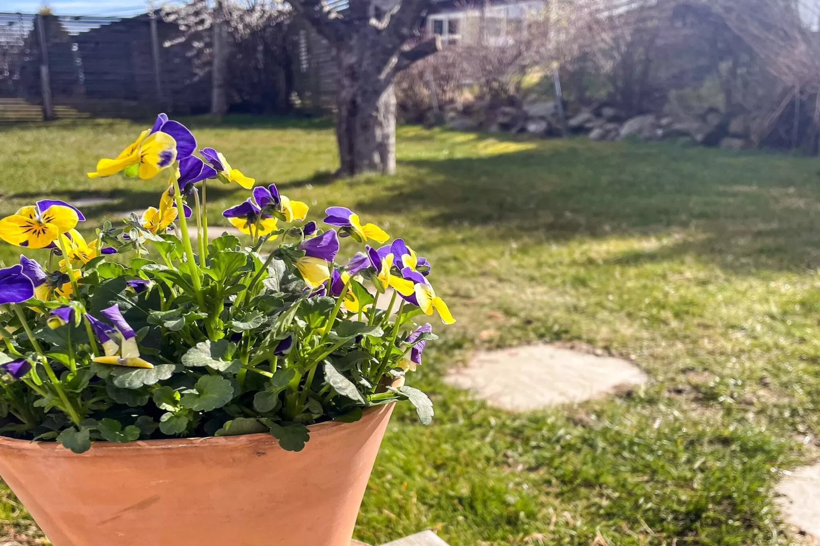 4 etoiles maison de vacances a MYGGENäS-Extérieur