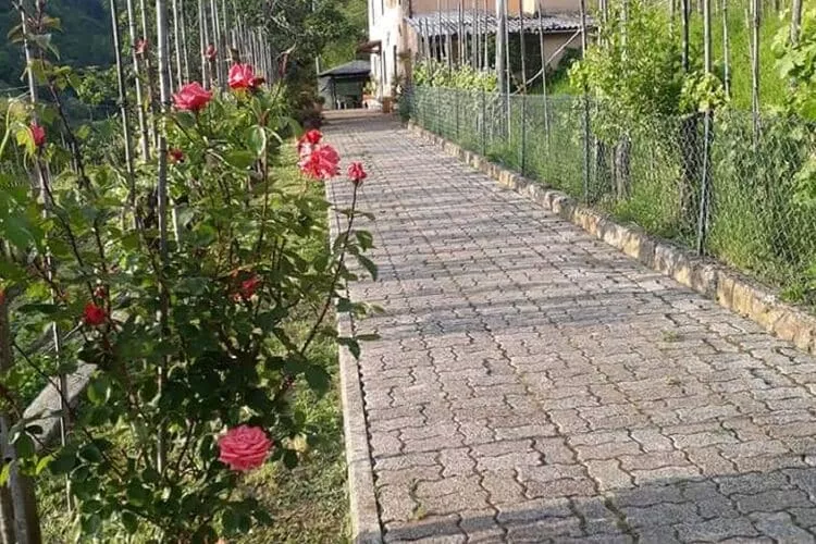Casa Marco-Gardens summer