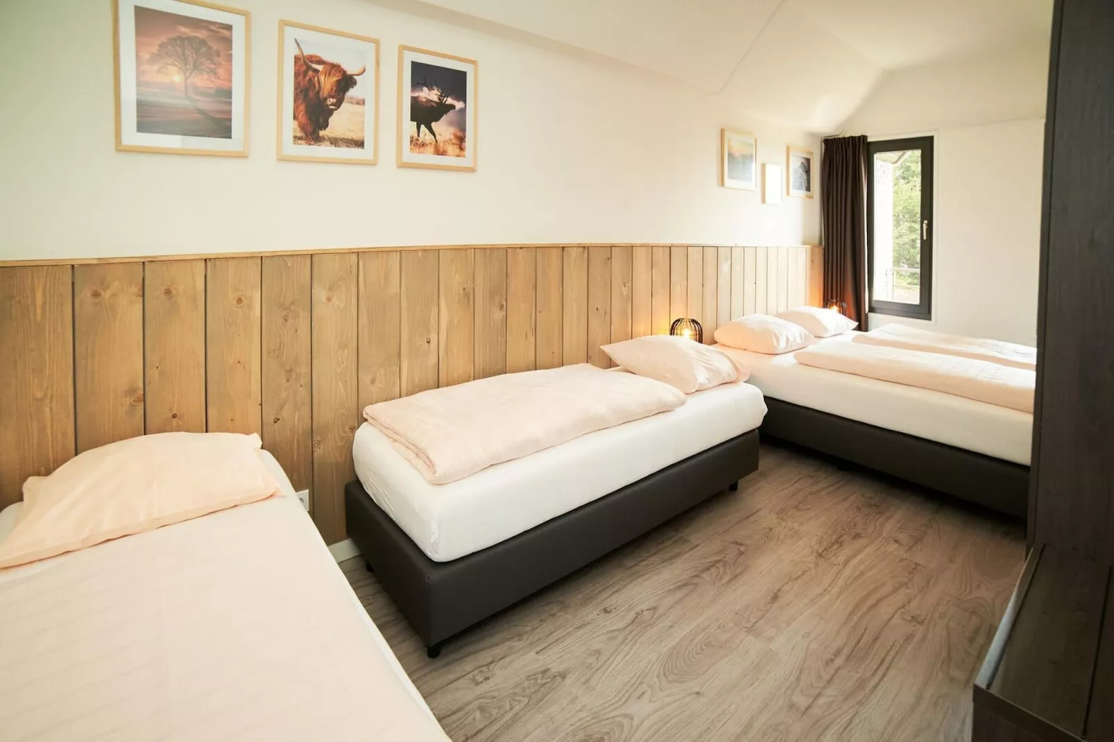 Apartment Basement 1-Schlafzimmer