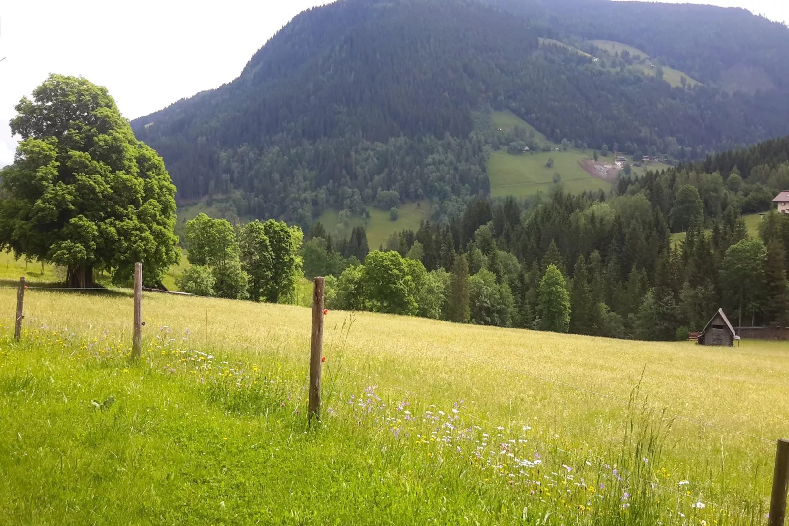 Freiberg - Gebiete Sommer 1 km