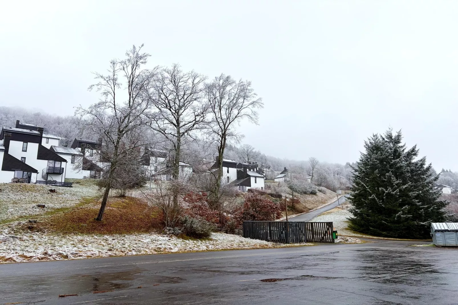 6P Standard-Gebiet Winter 1 km