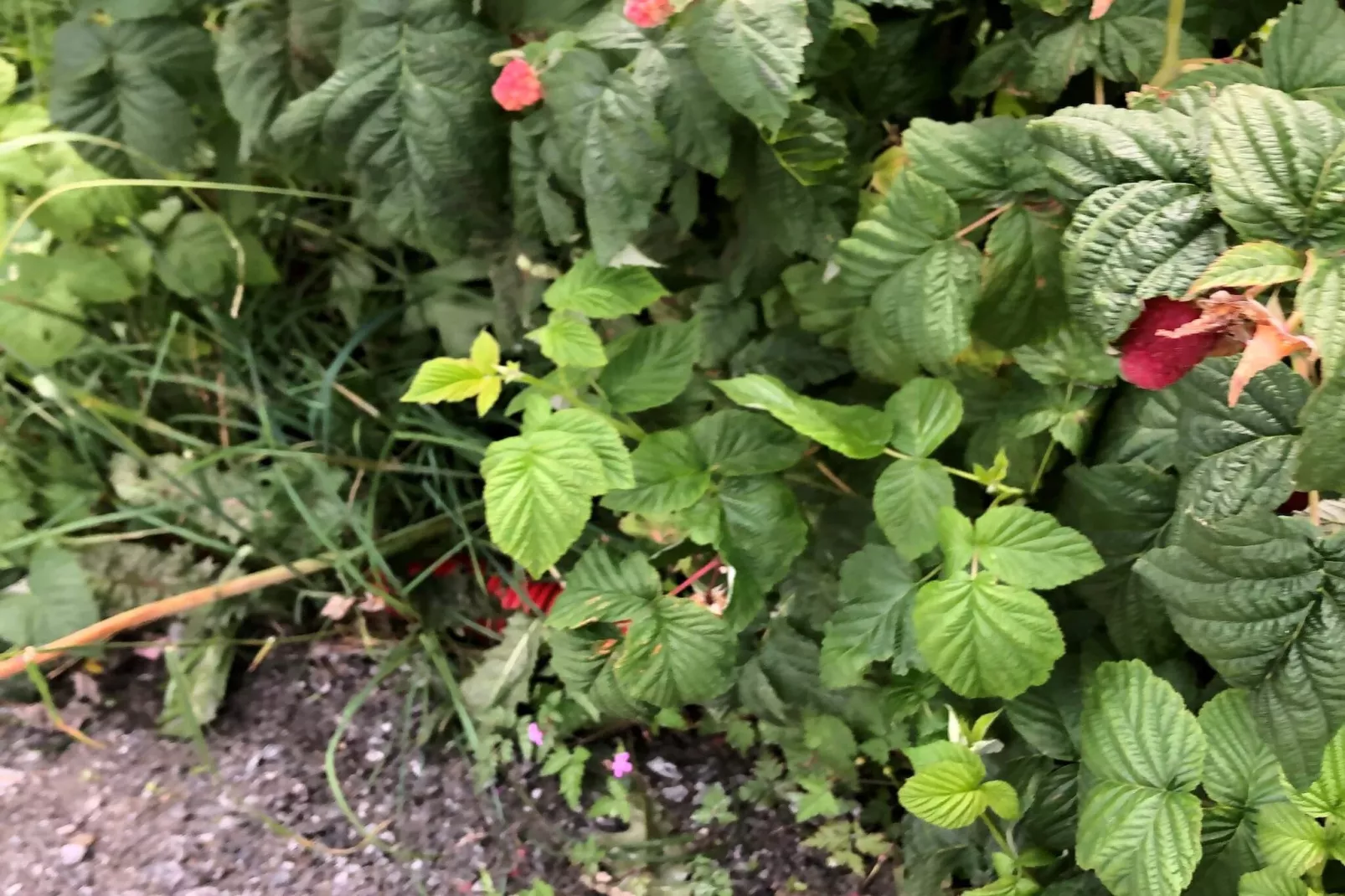 Maison de vacances pour 8 a frosta - Non tagué