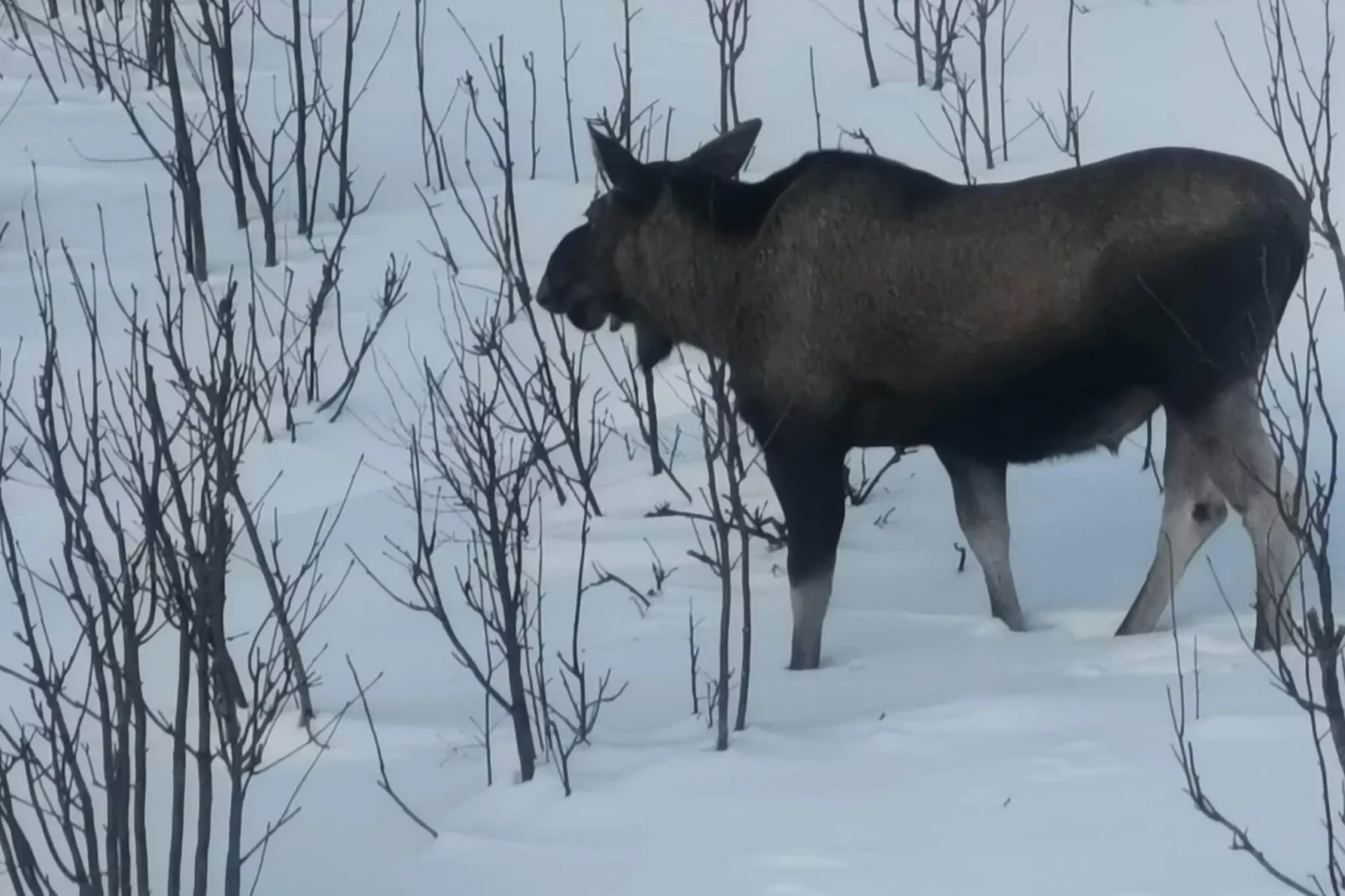 5 person holiday home in Digermulen-Untagged