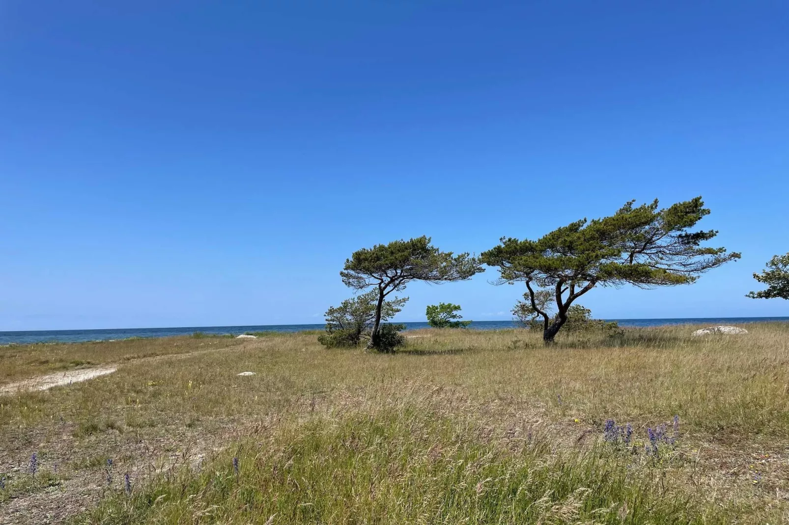 4 star holiday home in Gotlands Tofta-Untagged