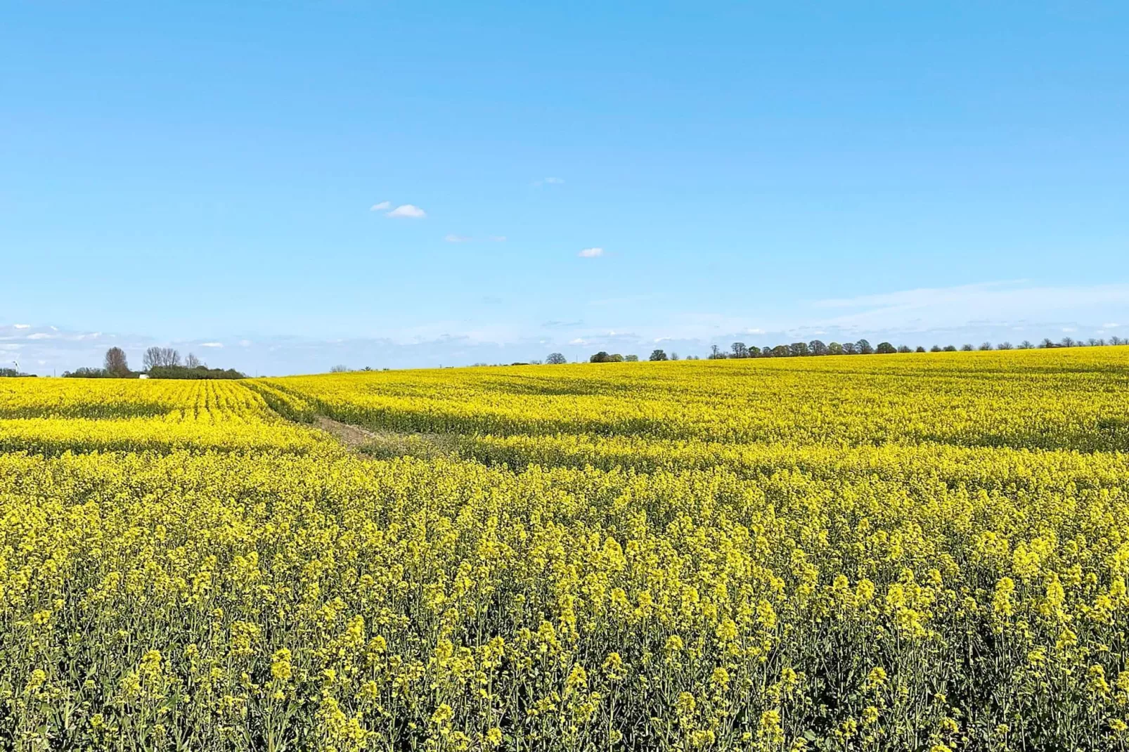 4 star holiday home in BÅSTAD-By Traum-Untagged