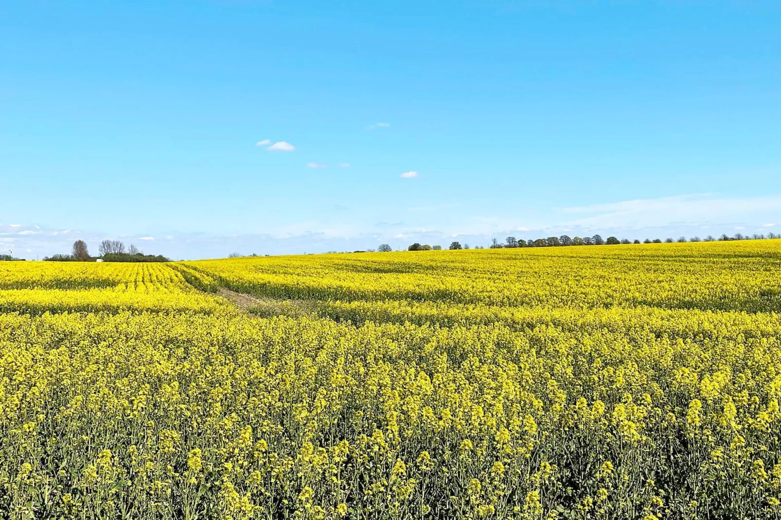 4 star holiday home in BÅSTAD-By Traum-Untagged