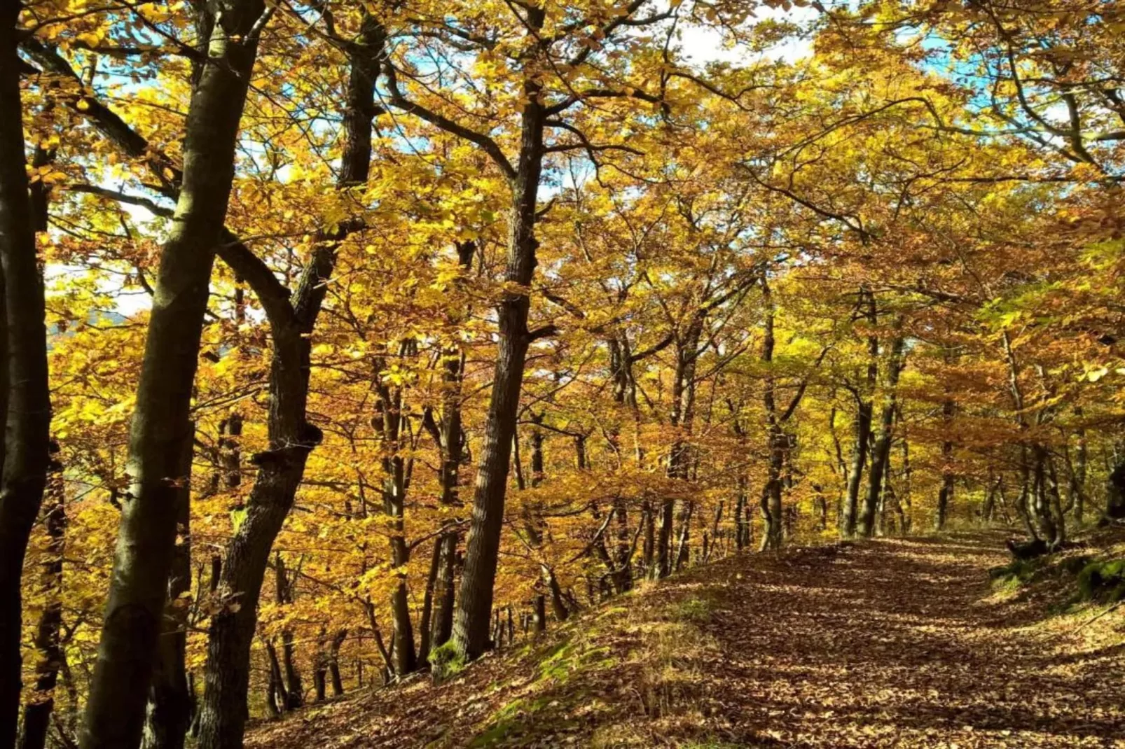 Im Sauerland-Areas within 20km in summer
