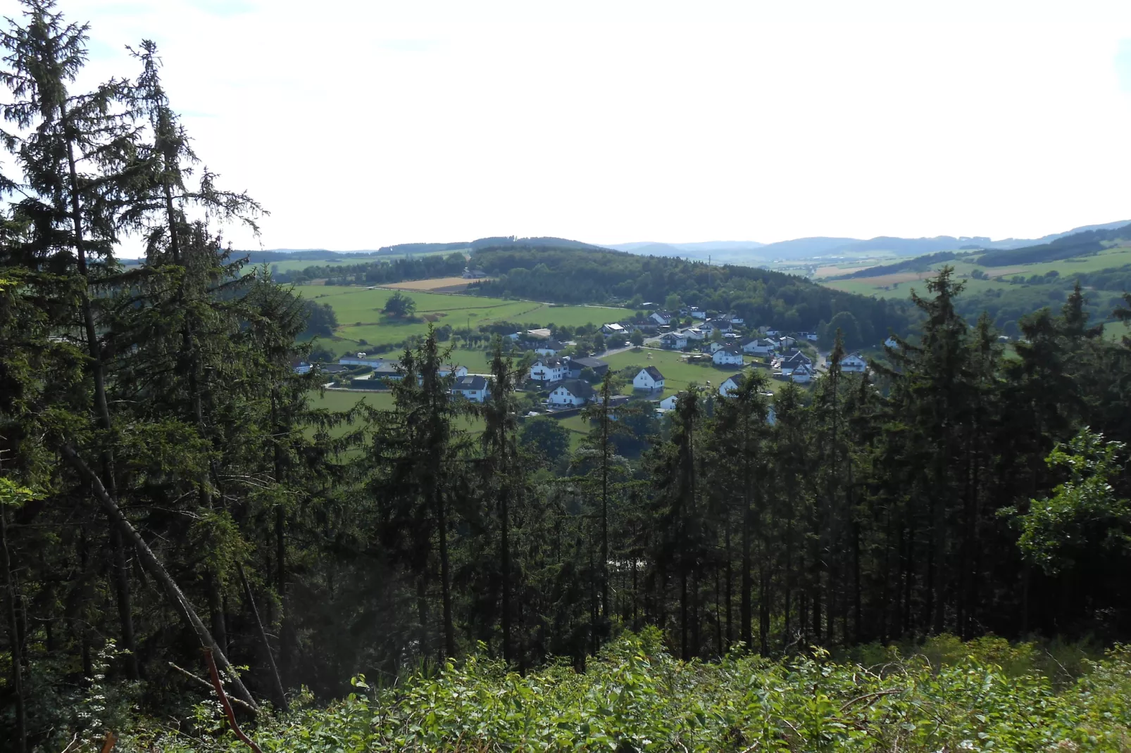 Im Sauerland-Areas within 1km in summer