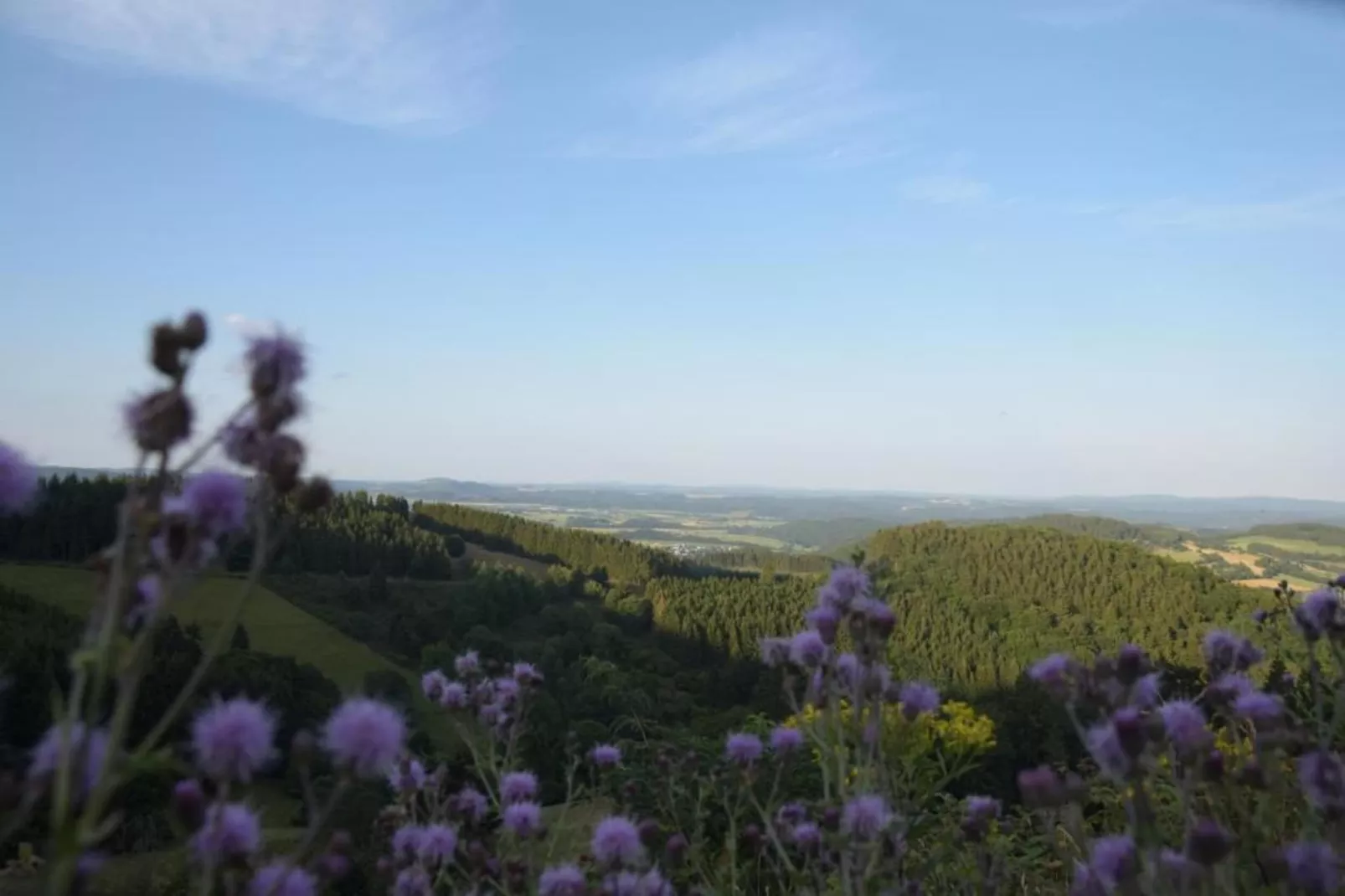Im Sauerland-Areas within 20km in summer