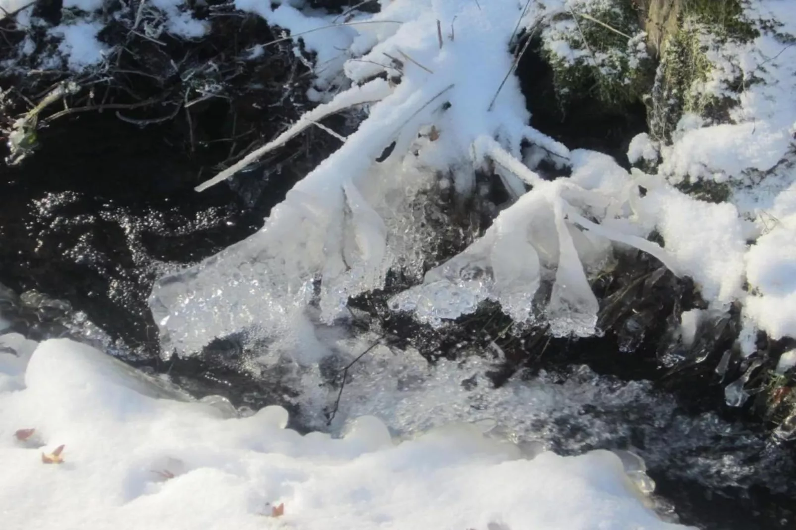 Im Sauerland-Ambiance