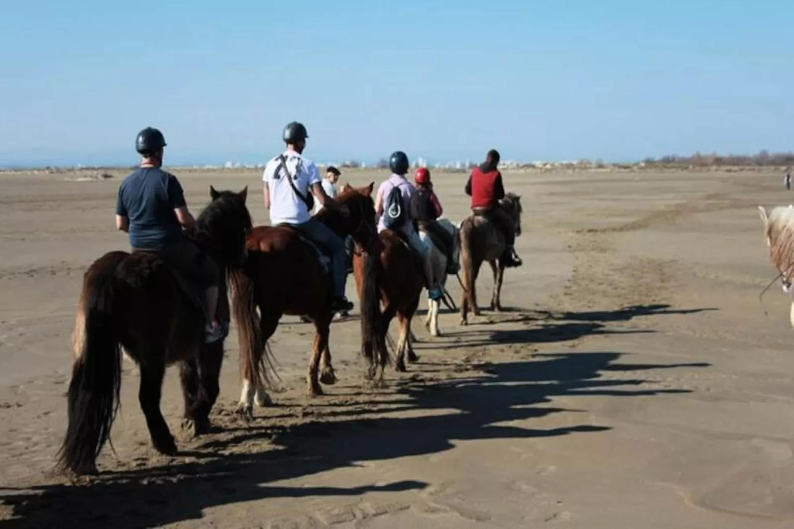 Résidence Quai Aux Fleurs-Nicht zugeordnet