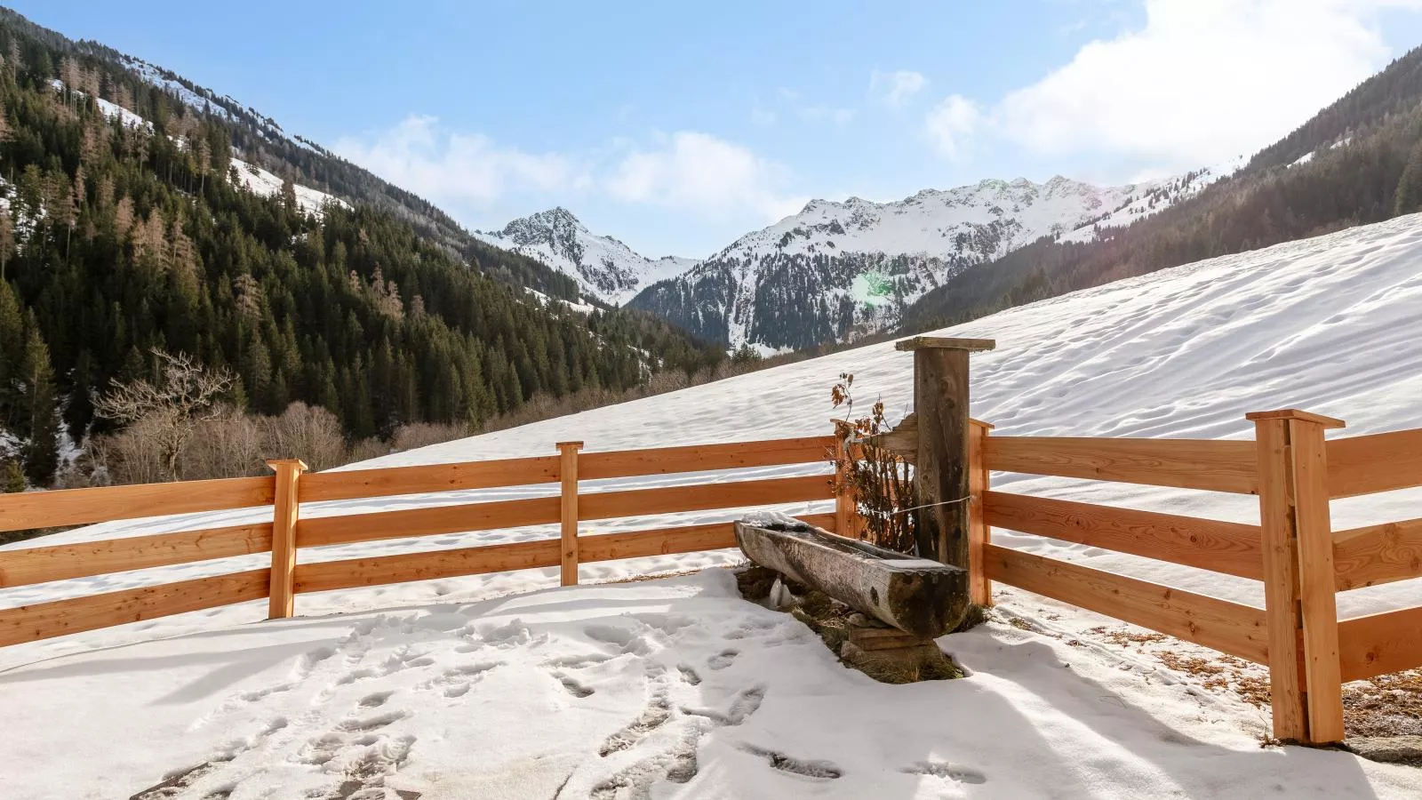 Hacklerhof Top 1 - View in winter