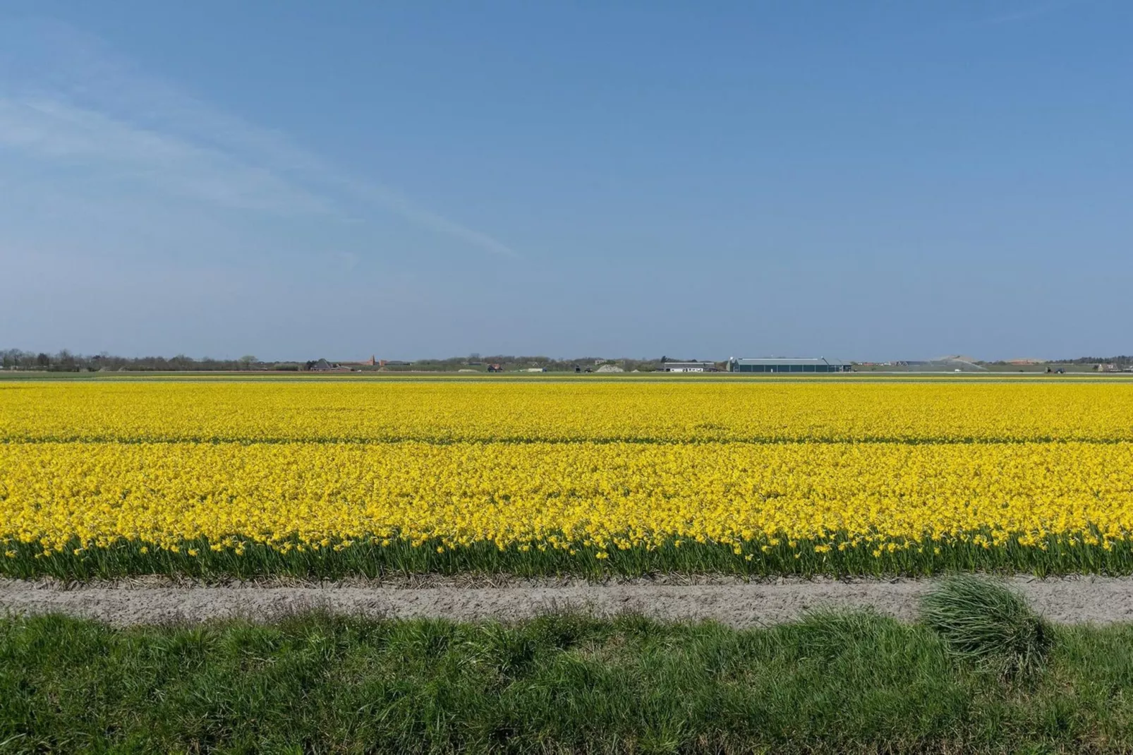 Ooghduyne 75-Zones été à 5 km