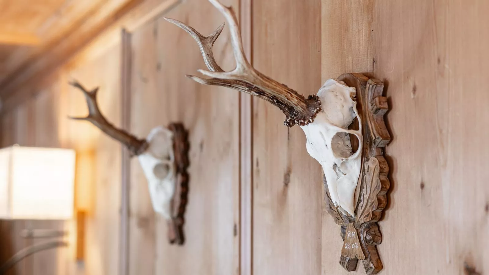 Hacklerhof Top 1 - Ambiance